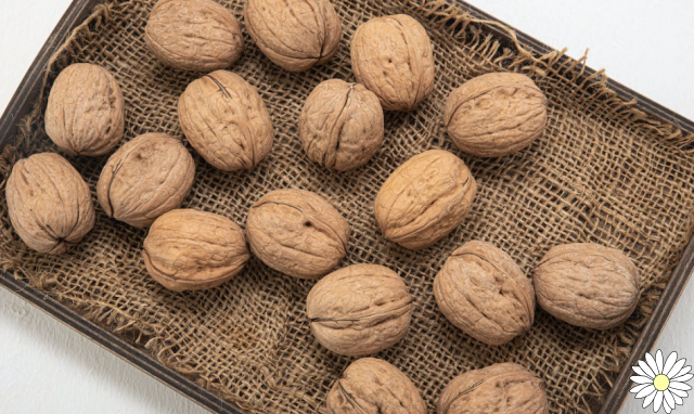 Walnuts are good for the heart and mood: here are all the properties and benefits