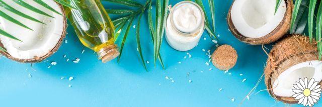 Coconut oil: properties, uses and benefits in the cosmetic field