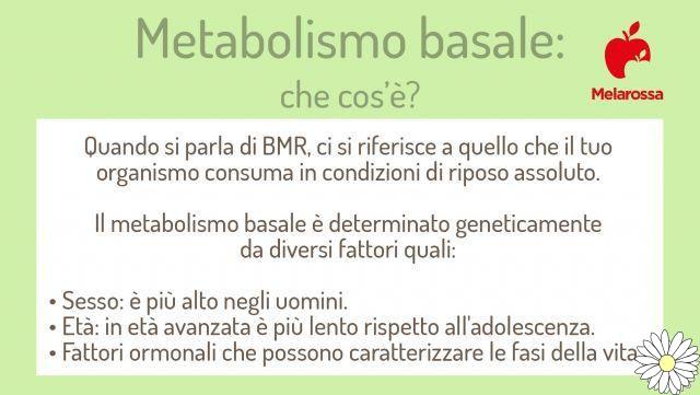 Metabolism: what it is, how it works, how to calculate the basal metabolic rate, what to do to increase it