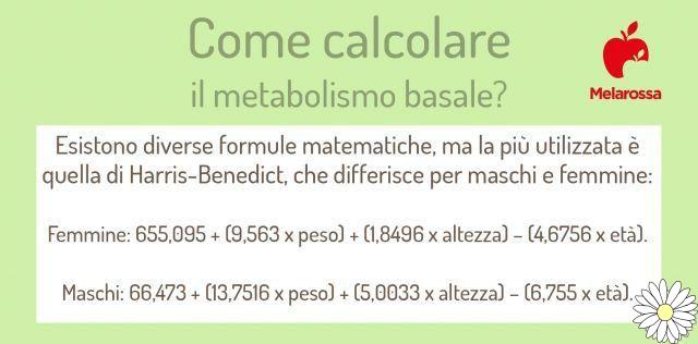 Metabolismo: qué es, cómo funciona, cómo calcular la tasa metabólica basal, qué hacer para aumentarla