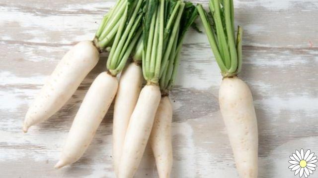 White turnip, antioxidant and detox: here are its nutritional properties, benefits and how to use it in cooking