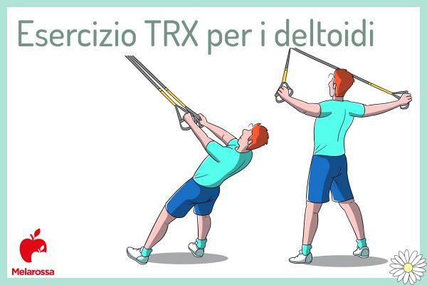 TRX: qué es, los beneficios y el programa de entrenamiento