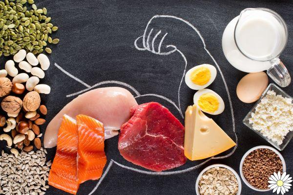 Aliments riches en protéines : liste divisée par types, pourquoi ils sont importants pour la santé et combien de protéines manger