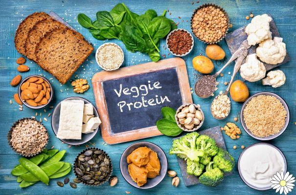 Alimentos ricos en proteínas: lista dividida por tipos, por qué son importantes para la salud y cuánta proteína comer