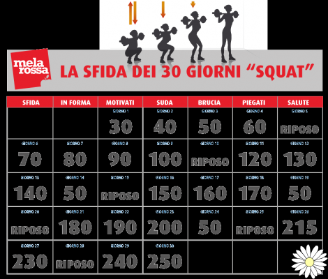 Squat challenge: tonifica glúteos y piernas en 30 días