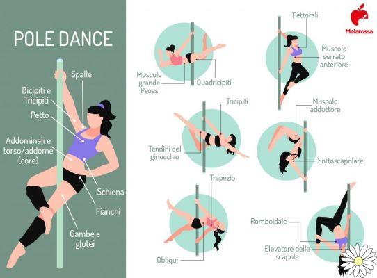 Pole dance : qu'est-ce que c'est, comment se déroule le cours, matériel, avantages et muscles impliqués, vêtements