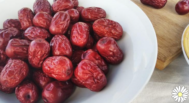 Dates, nutrients and energy: here are their properties, benefits and contraindications