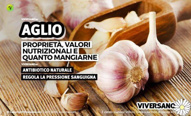 Garlic: properties and contraindications of this beneficial bulb