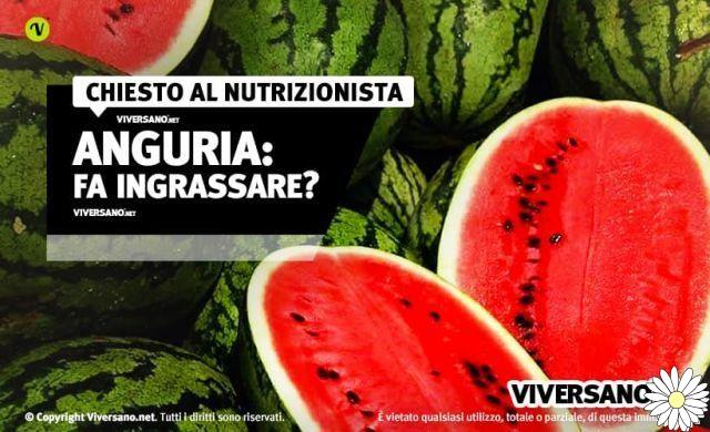 Is watermelon a fruit that makes you fat?