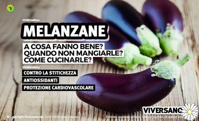 Eggplants, antioxidants and beneficial for the intestine: properties, calories, benefits and contraindications