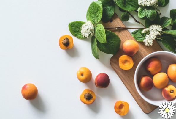 Apricots, antioxidants and tonics: here are properties, benefits and contraindications