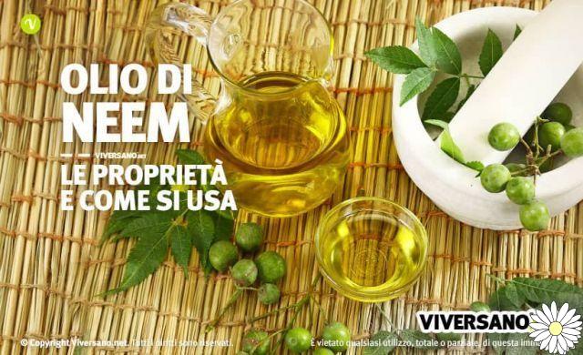 Aceite de neem: todos los usos y propiedades