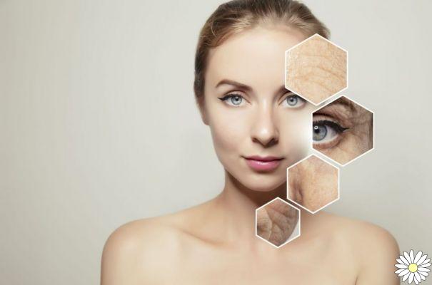 Hojas de olivo: propiedades beneficiosas para el cuidado del rostro