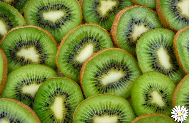 Kiwi: nutritional properties and lesser known uses of this fruit